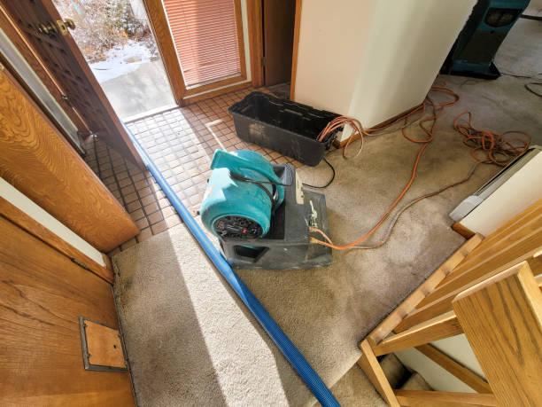Best Sewage cleanup and water damage restoration  in Panaca, NV