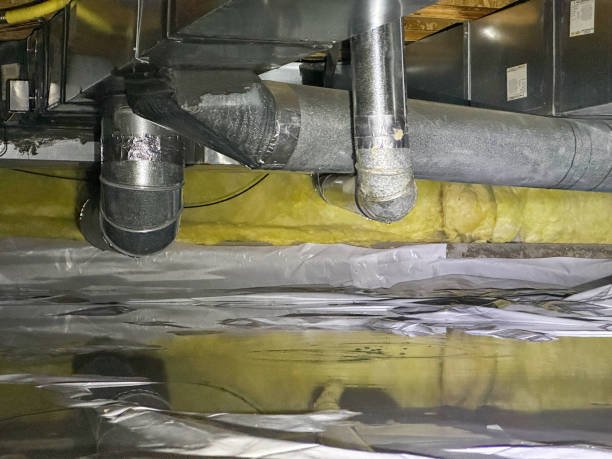 Best Water damage cleanup near me  in Panaca, NV