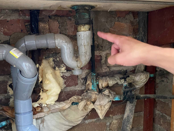 Best Flooded house restoration  in Panaca, NV