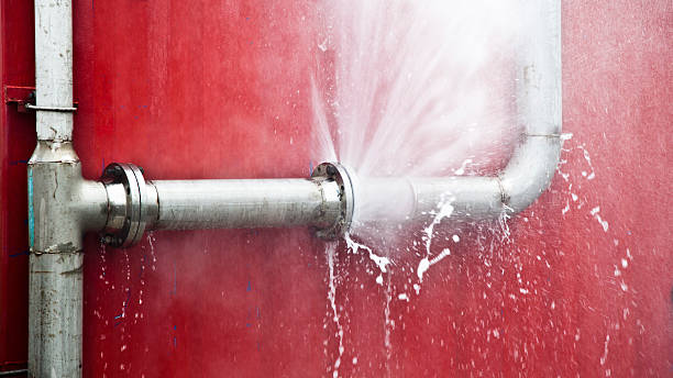 Best Sewage cleanup and water damage restoration  in Panaca, NV